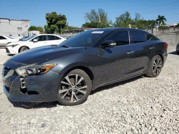  Salvage Nissan Maxima