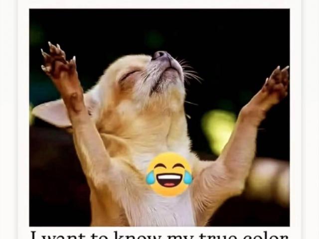 Frdm Trailer Image 3