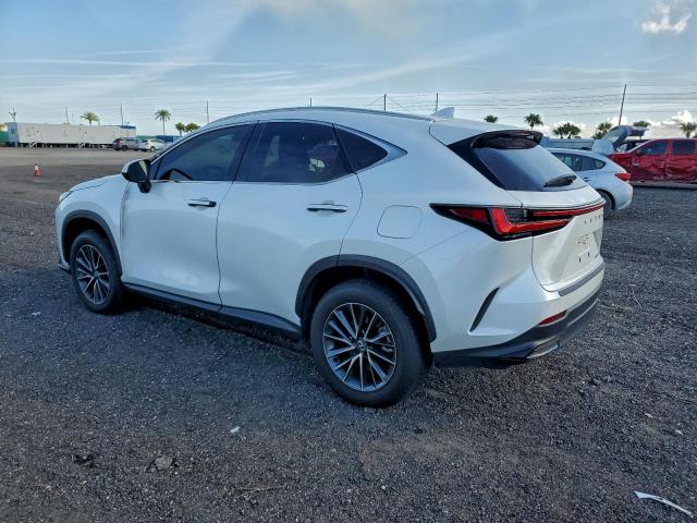 Lexus NX 250 Premium Image 8
