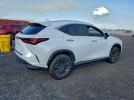 Lexus NX 250 Premium Image 10