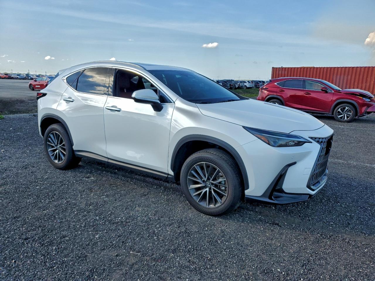 Lexus NX 250 Premium Image 9