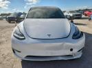 Tesla Model Y Image 4